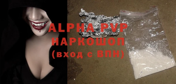 хмурый Аркадак