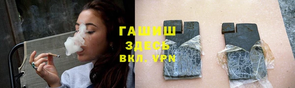 хмурый Аркадак