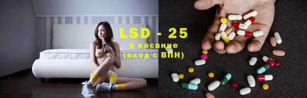 хмурый Аркадак